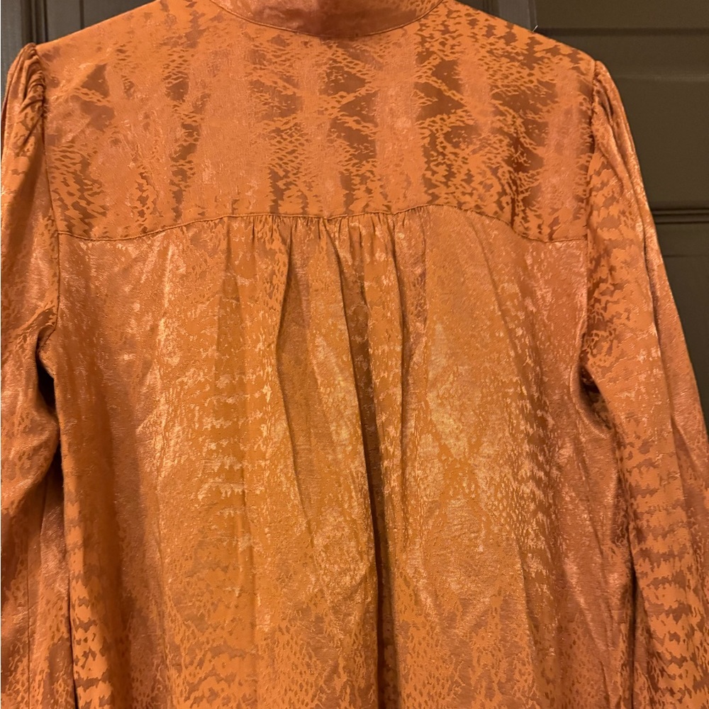Large women blouse brand express